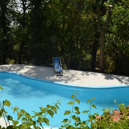 Quinta Abelha Villa Pico Kültér fotó