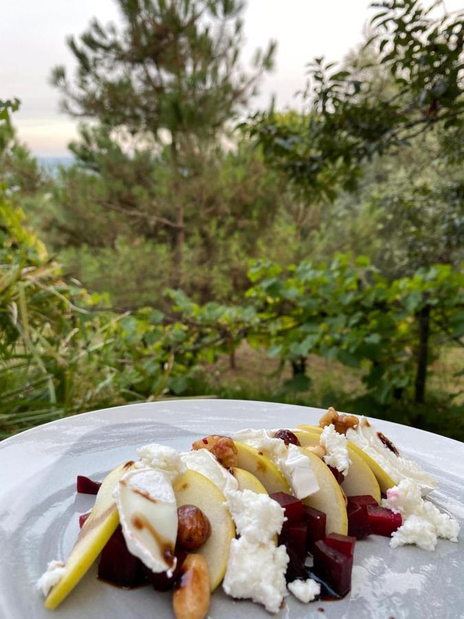 Quinta Abelha Villa Pico Kültér fotó