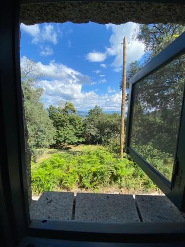 Quinta Abelha Villa Pico Kültér fotó