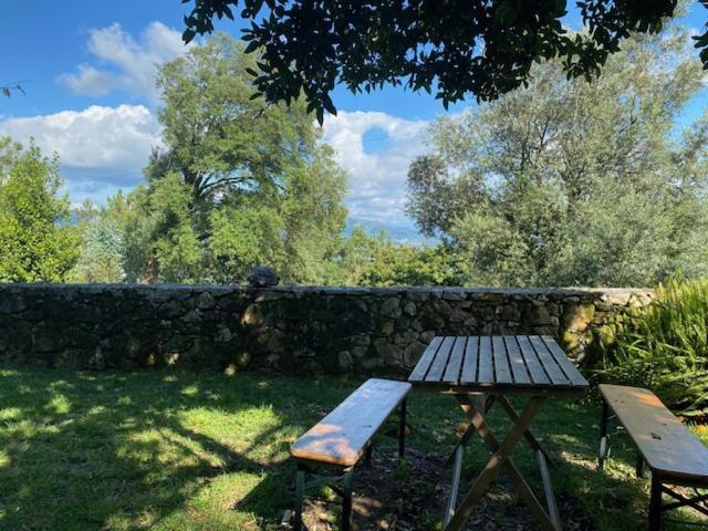 Quinta Abelha Villa Pico Kültér fotó