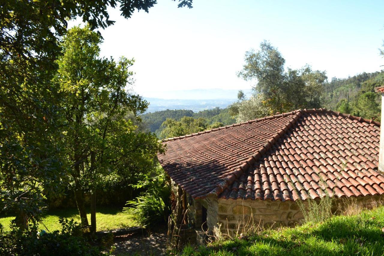 Quinta Abelha Villa Pico Kültér fotó